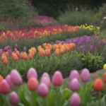 Jardín vibrante con bulbos coloridos y flores únicas