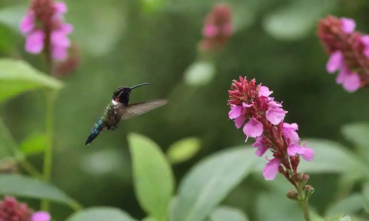 Atrae polinizadores en jardines urbanos con flores vibrantes y naturaleza colorida