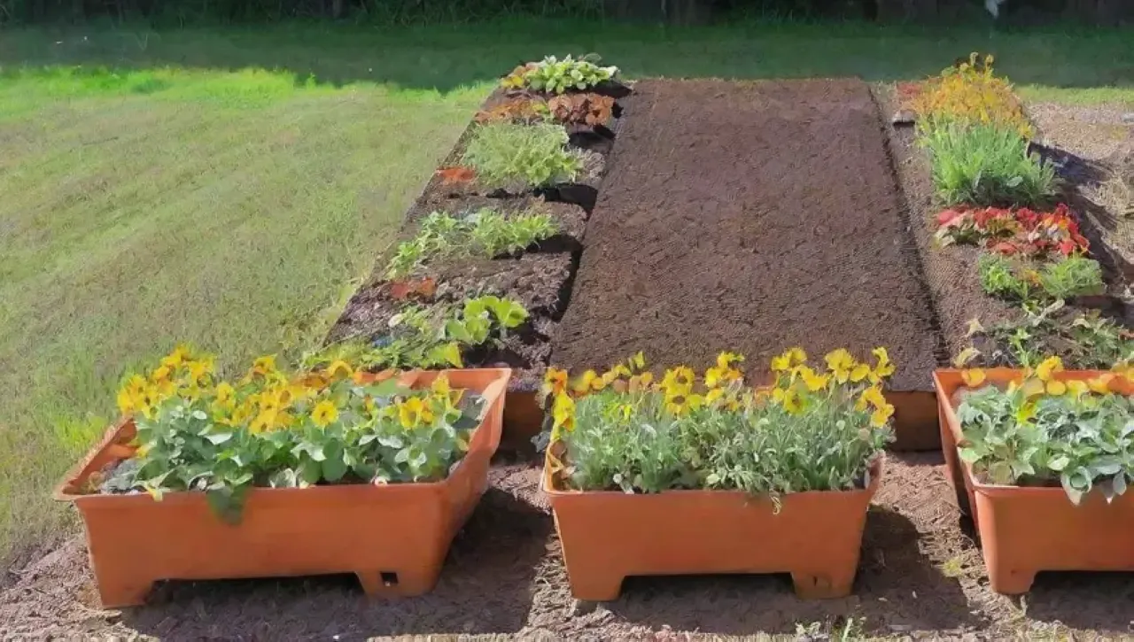 Un jardín vibrante y lleno de vida