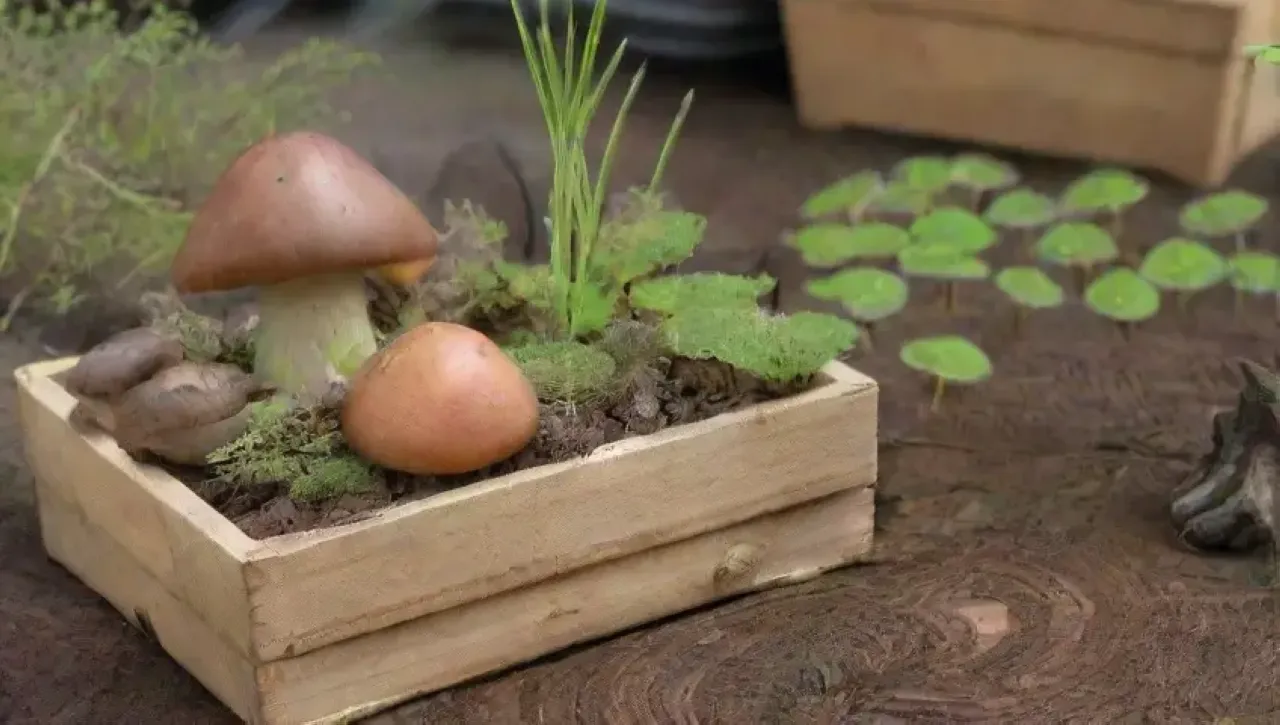 Un jardín sereno lleno de hongos vibrantes y elementos naturales