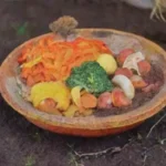 Qué papel juegan los microorganismos en el descomposición del compost