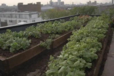 Jardinería urbana y compostaje ecológico para una vida sostenible
