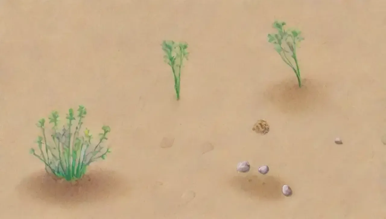 Un paisaje de arena clara con vegetación escasa y vida vibrante