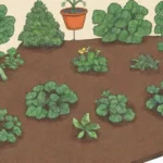 Consejos para cultivar legumbres en casa: suelo