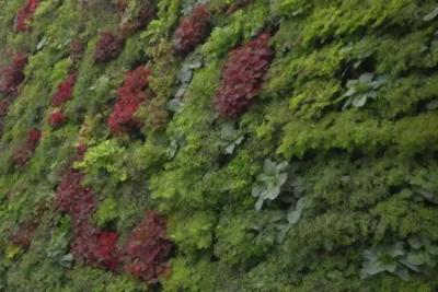 Jardines verticales sostenibles para cultivos urbanos en espacios pequeños