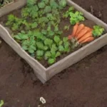 Cómo saber si tu compost está listo para usar en el huerto