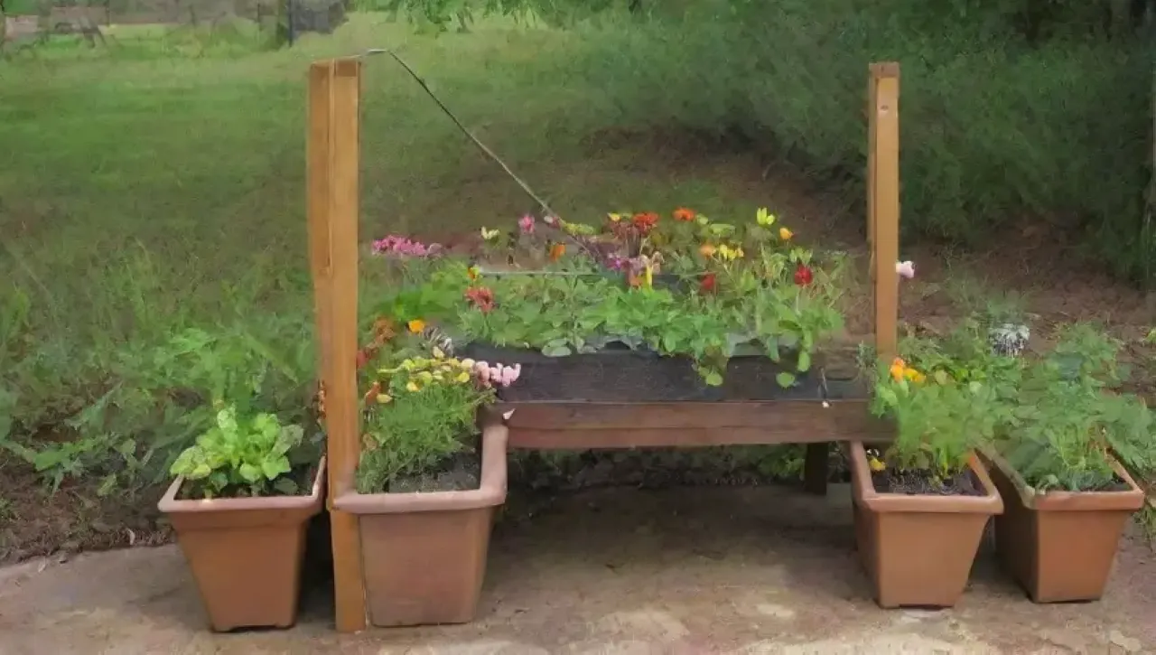 Un jardín vibrante y lleno de vida