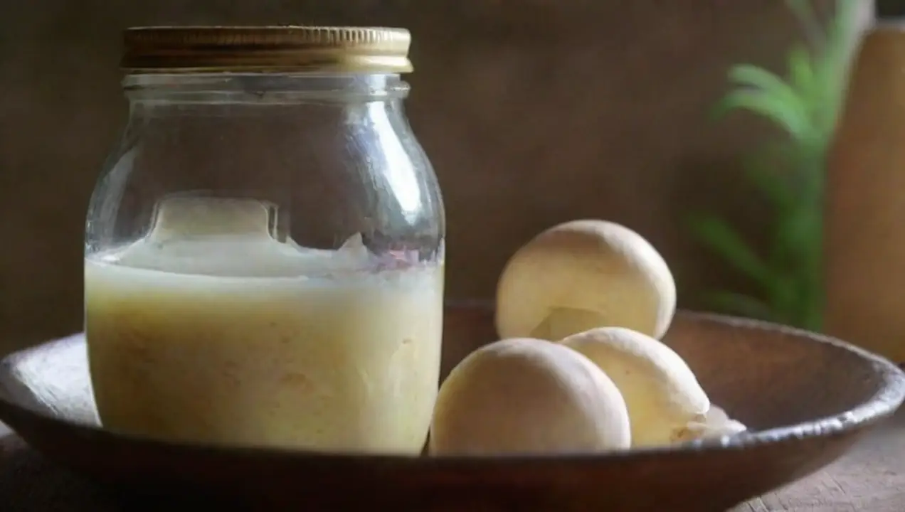 La importancia de la fermentación en el cultivo de hongos de Guía completa sobre la fermentación en el cultivo de hongos