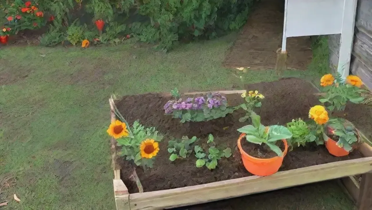 Un jardín vibrante y comunitario lleno de vida, risas y sostenibilidad
