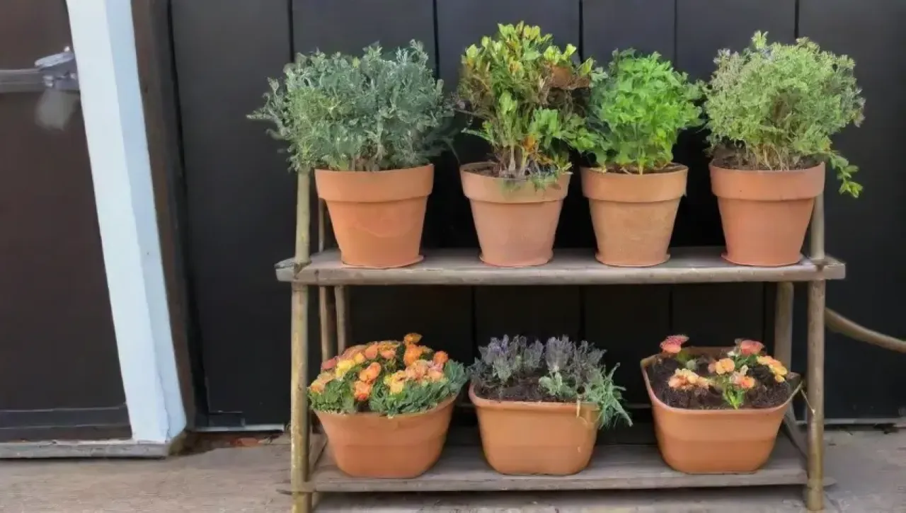 Un jardín vibrante y acogedor lleno de hierbas, flores y herramientas coloridas