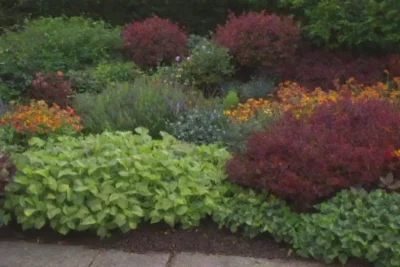 Guía práctica para un jardín colorido y sostenible