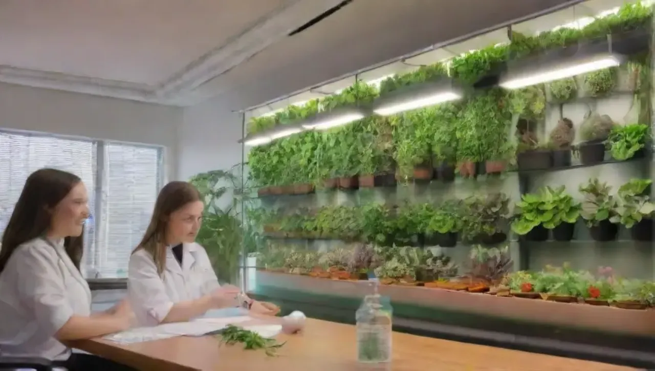 Un espacio universitario innovador con jardines verticales, estudiantes investigando y tecnología avanzada