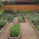 Diseño de jardines sostenibles y coloridos con parcelas pequeñas y cultivo de tubérculos