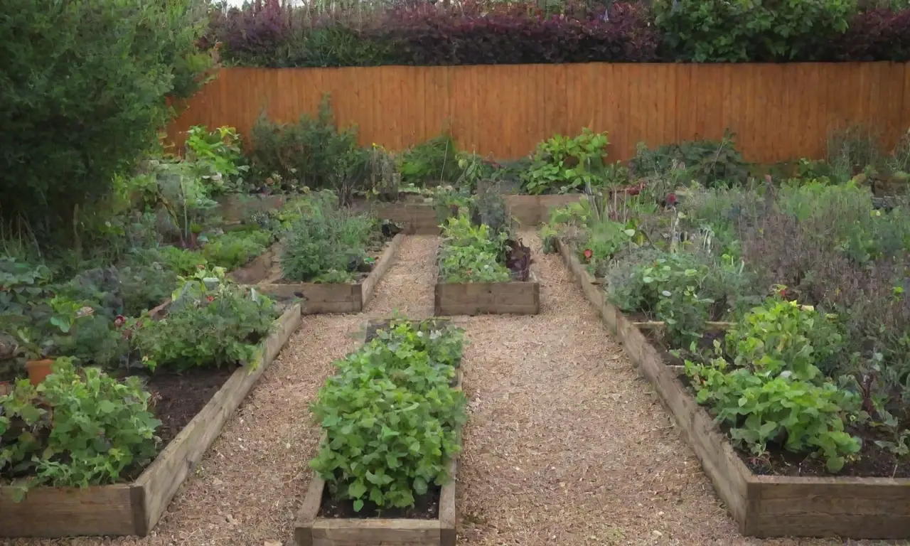 Diseño de jardines sostenibles y coloridos con parcelas pequeñas y cultivo de tubérculos