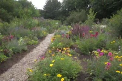 Jardín vibrante con plantas diversas