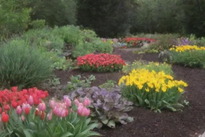 Jardín colorido con bulbos sanos