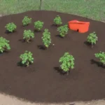 Los fertilizantes naturales enriquecen el suelo y promueven la jardinería sostenible