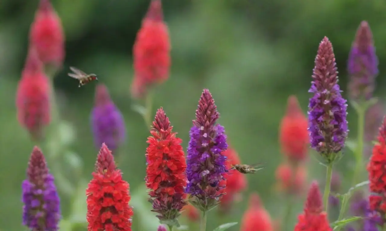 Jardín vibrante con flores diversas que atraen polinizadores