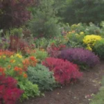 Guía de plantación de plantas coloridas para un jardín vibrante y armónico