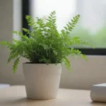 Plantas pequeñas con hojas verdes para decorar y aliviar el estrés en la oficina
