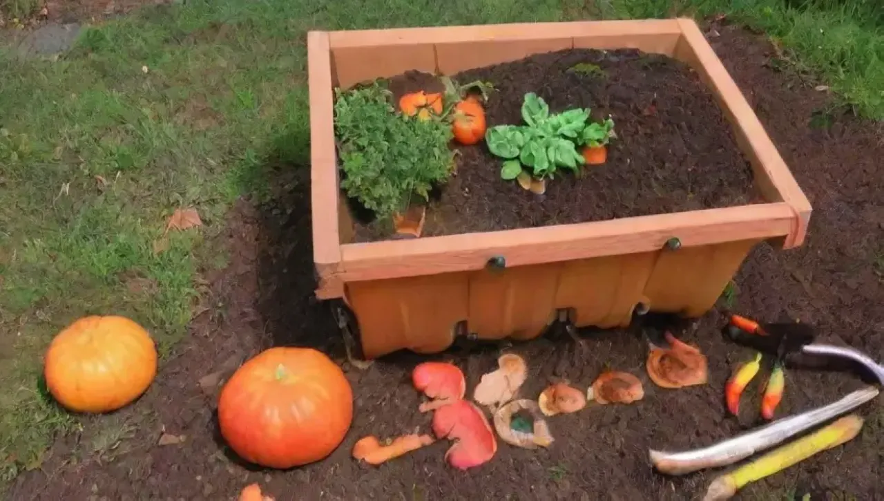 Un jardín vibrante y armonioso lleno de vida y aromas