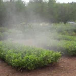 Técnicas de riego sostenibles y prácticas agroecológicas para promover la biodiversidad