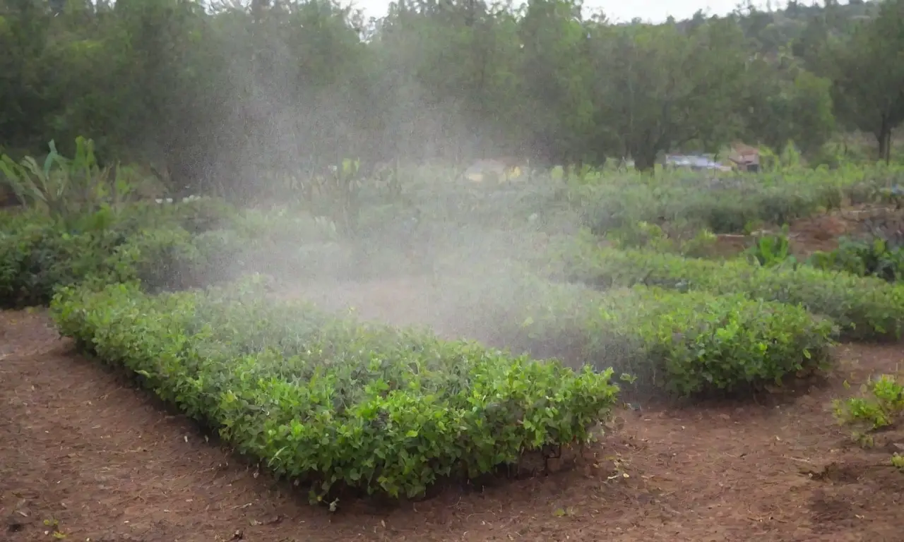 Técnicas de riego sostenibles y prácticas agroecológicas para promover la biodiversidad