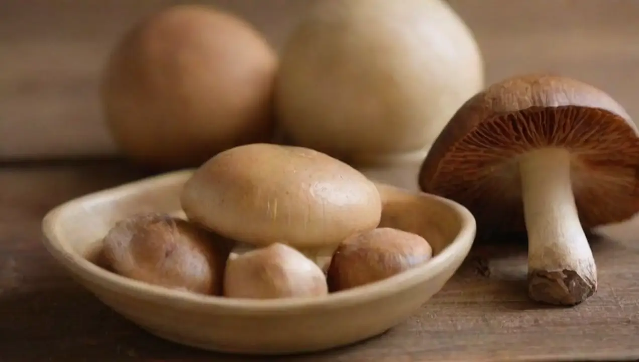 Métodos para añadir hongos medicinales a tus comidas de Cómo incorporar hongos medicinales en tu dieta diaria