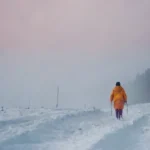 Invernaderos: Soluciones Efectivas ante Desafíos Climáticos