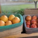 Cómo evitar que los frutos se estropeen durante el almacenamiento