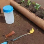Cómo crear un riego por goteo de bajo costo para principiantes