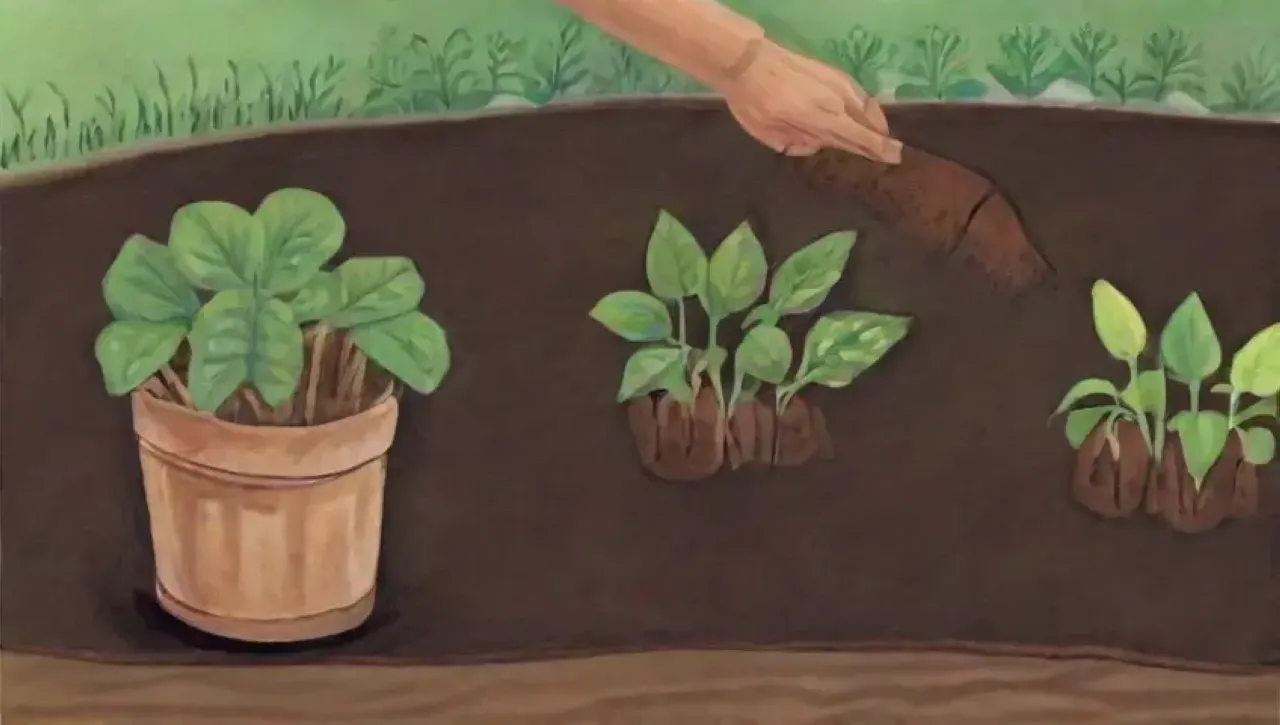 Un ecosistema vibrante florece en un ciclo armonioso de vida y regeneración