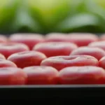 Qué opinan los expertos sobre las bandejas de cultivo