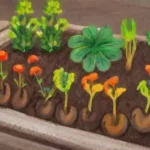 Qué papel juega el pH del suelo en la nutrición de las plantas