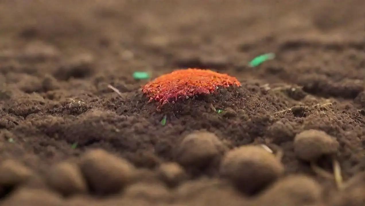 Impacto en la Actividad Microbiana del Suelo de Impacto de la Temperatura en Propiedades de Sustratos Agrícolas