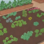 Jardín escolar lleno de plantas y vegetales