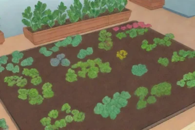 Jardín escolar lleno de plantas y vegetales