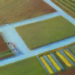 Drones en la agricultura sostenible: cuáles son sus limitaciones