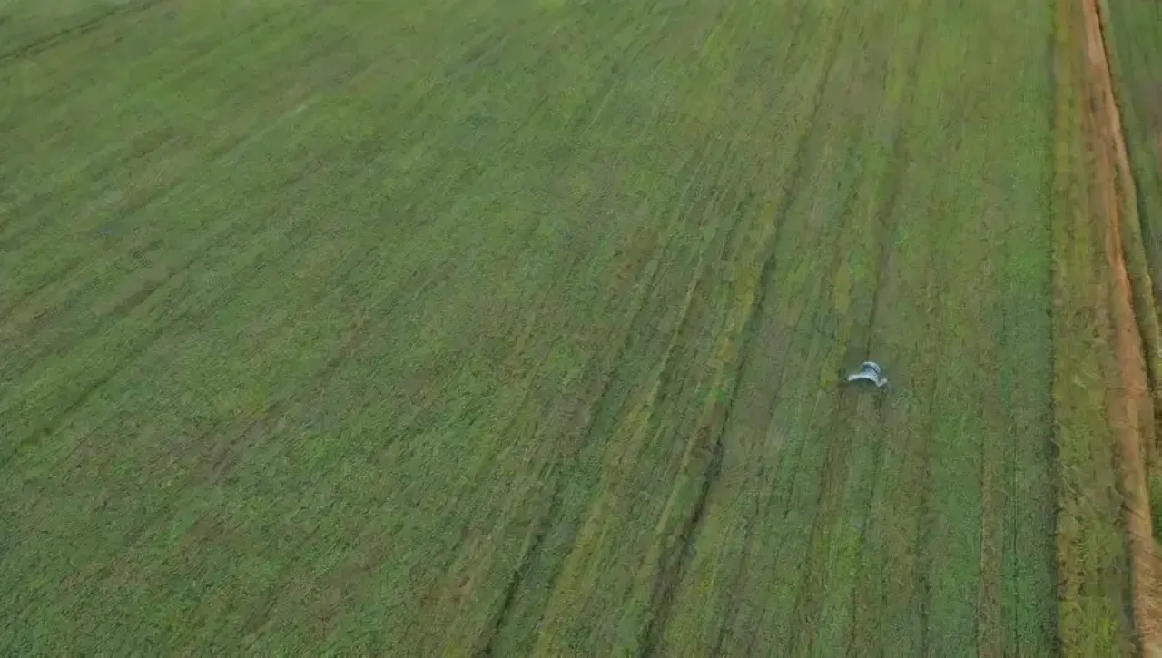 Un campo verde vibrante con cultivos, un dron sobrevolando, un agricultor observando y tecnología en armonía con la naturaleza