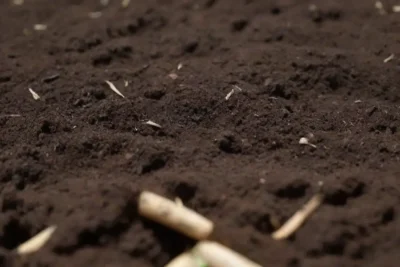 Preparación del suelo con compost