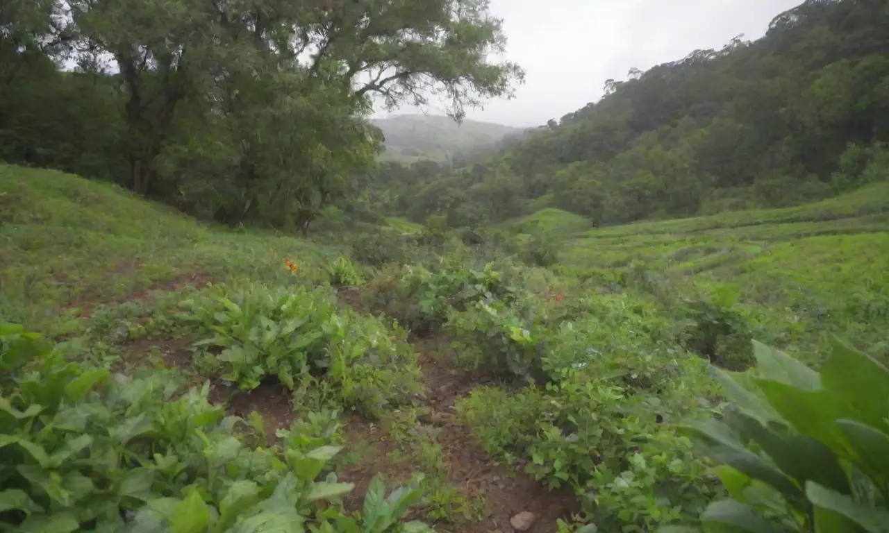 Naturaleza vibrante y sostenible con plantas diversas y vida silvestre saludable