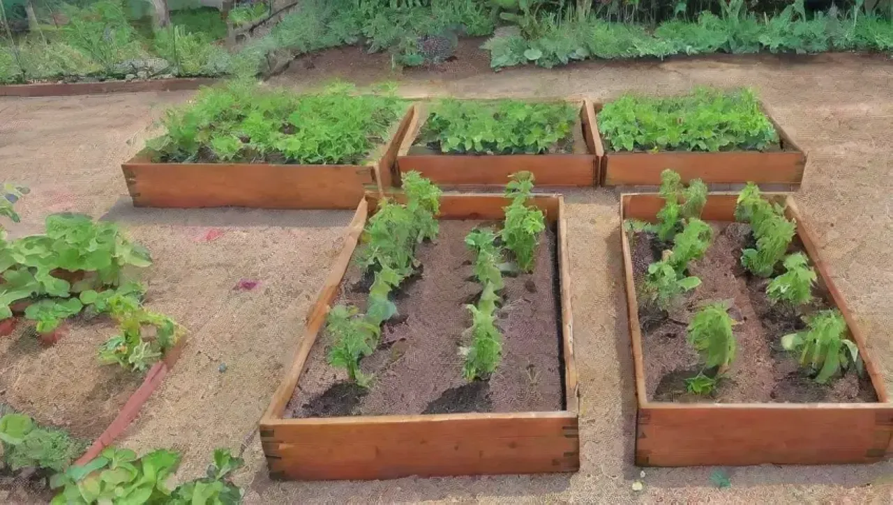Un jardín vibrante y lleno de vida con plantas, flores y herramientas