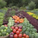 Huerto vibrante con vegetales coloridos y consejos para principiantes