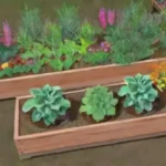 Vale la pena experimentar con plantas compañeras en el huerto