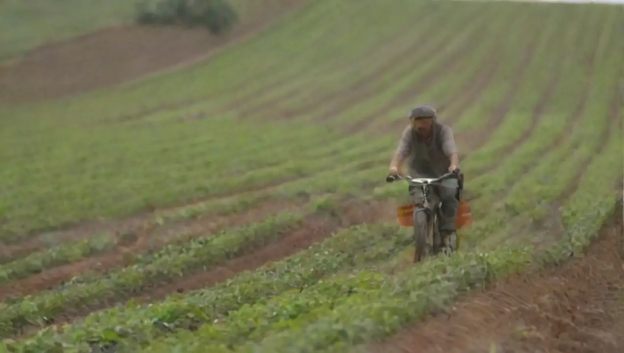 Beneficios del ciclo en la producción orgánica de Qué importancia tiene el ciclo en la producción orgánica