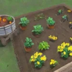Cómo construir un huerto exitoso en un jardín de suelo rocoso
