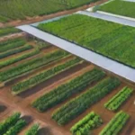 Qué tecnologías emergentes están revolucionando la protección agrícola