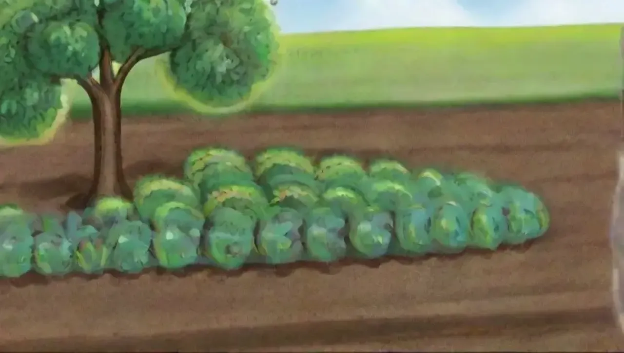 Un paisaje agrícola vibrante y armonioso con campos verdes, agua brillante y rica biodiversidad
