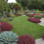 Jardín sostenible con plantas esenciales