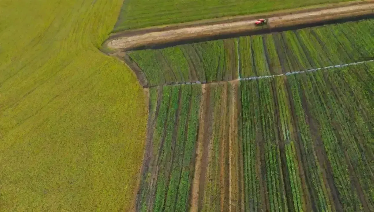 Campos verdes vibrantes con tecnología agrícola y paisajes naturales